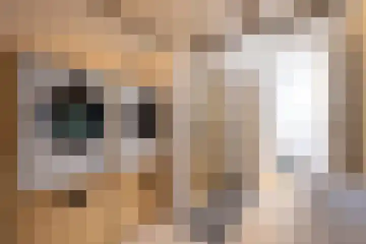 Heemraadssingel 174 Rotterdam thumbnail 43