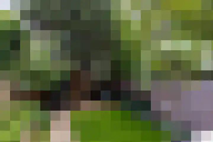 Heemraadssingel 174 Rotterdam thumbnail 47
