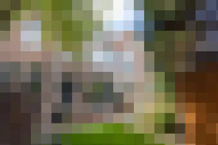 Heemraadssingel 174 Rotterdam thumbnail 48