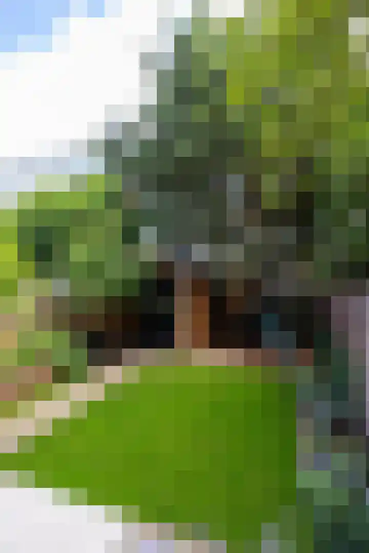 Heemraadssingel 174 Rotterdam thumbnail 49