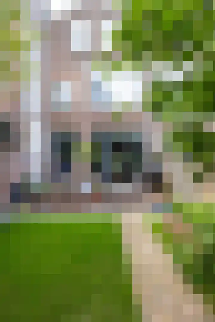 Heemraadssingel 174 Rotterdam thumbnail 50