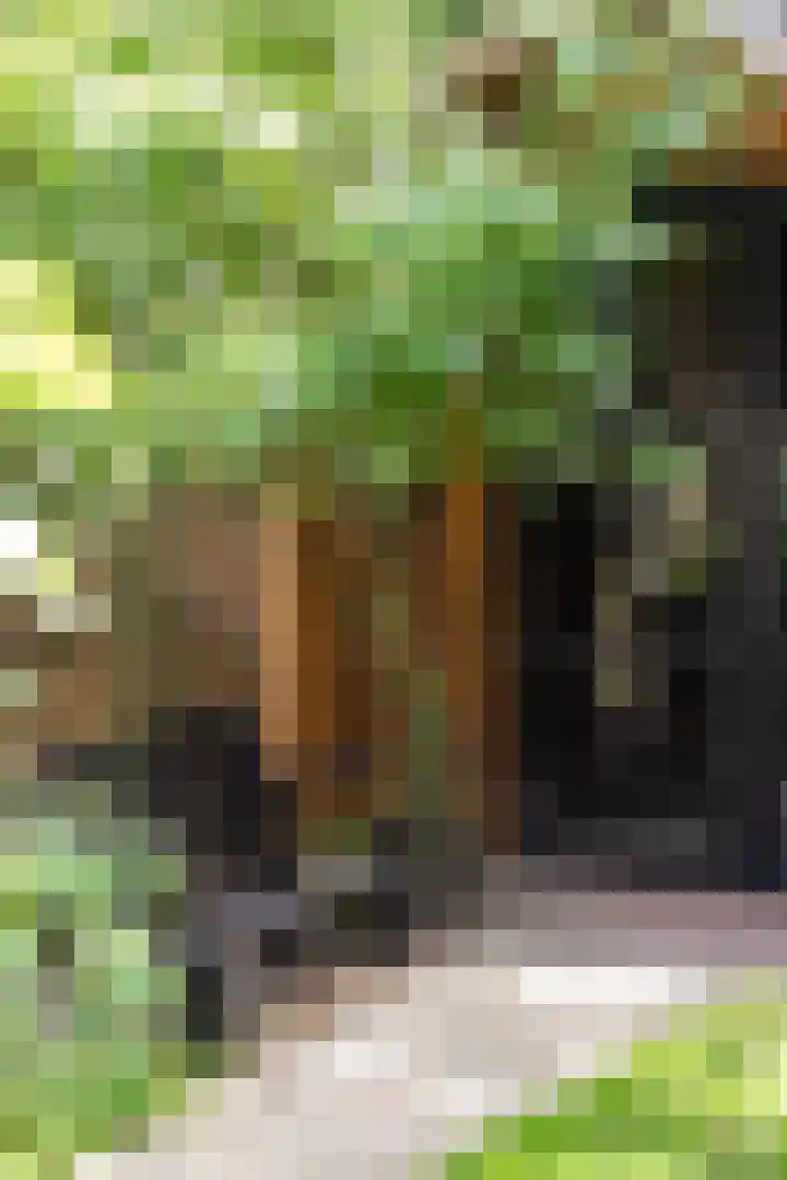 Heemraadssingel 174 Rotterdam thumbnail 51