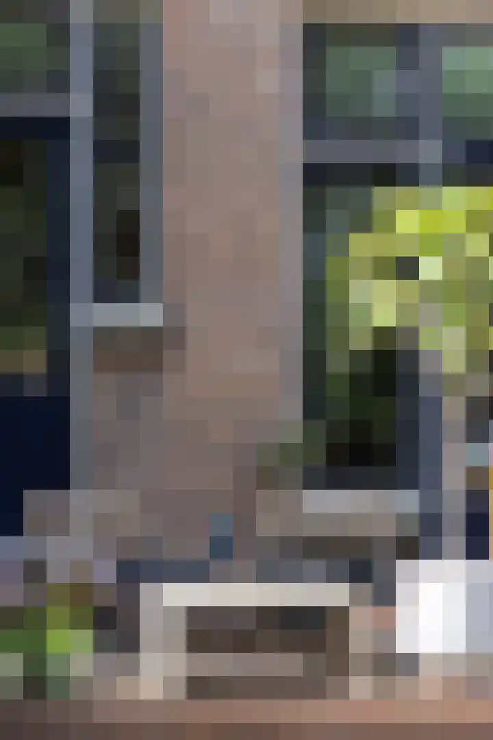 Heemraadssingel 174 Rotterdam thumbnail 52