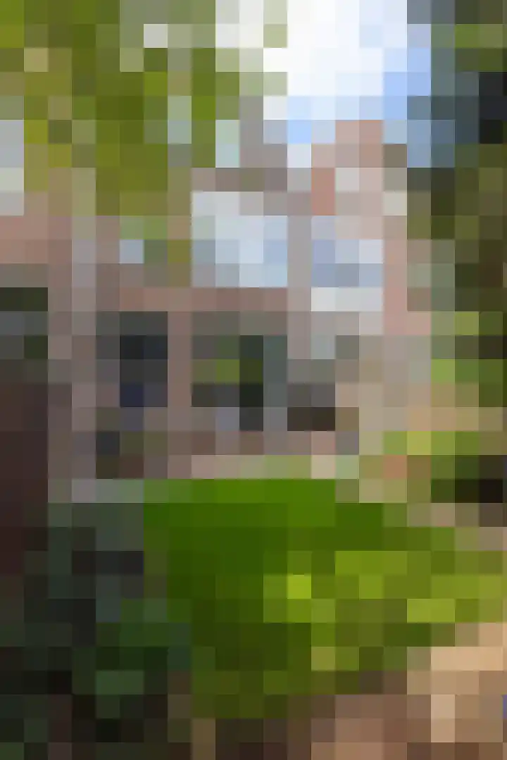 Heemraadssingel 174 Rotterdam thumbnail 53