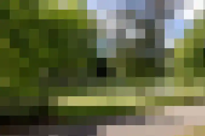 Heemraadssingel 174 Rotterdam thumbnail 60