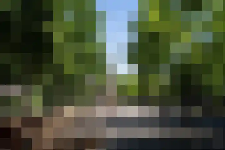 Heemraadssingel 174 Rotterdam thumbnail 61