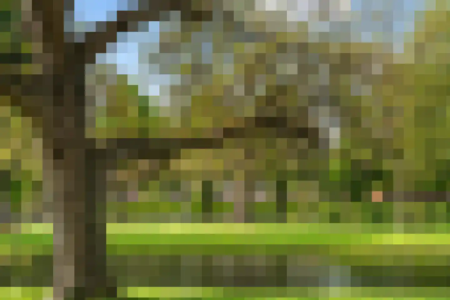 Heemraadssingel 182 F Rotterdam thumbnail 32