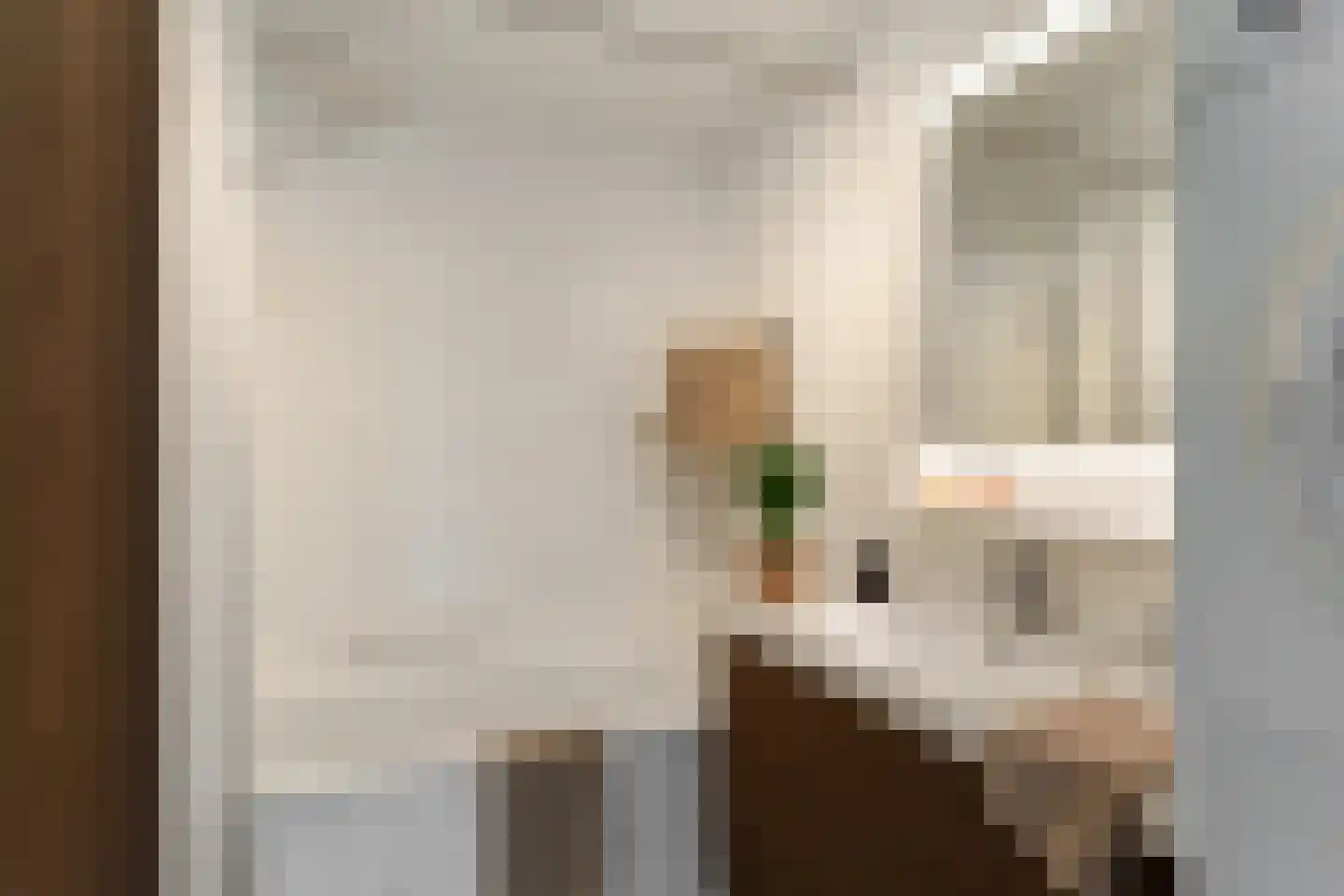 Heemraadssingel 182 F Rotterdam thumbnail 5