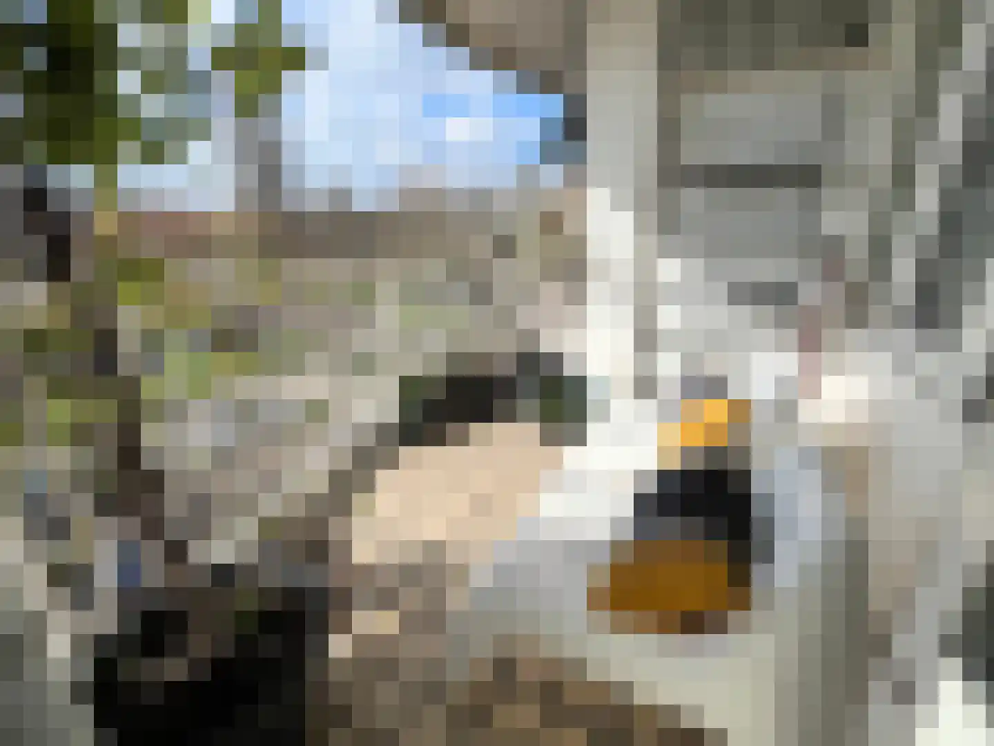 Heemraadssingel 184 L Rotterdam thumbnail 16