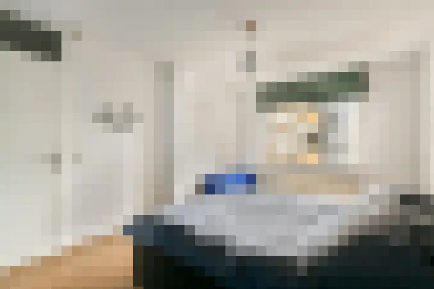 Heemraadssingel 184 L Rotterdam thumbnail 22
