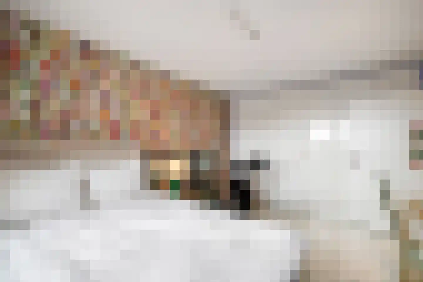 Heemraadssingel 184 L Rotterdam thumbnail 25