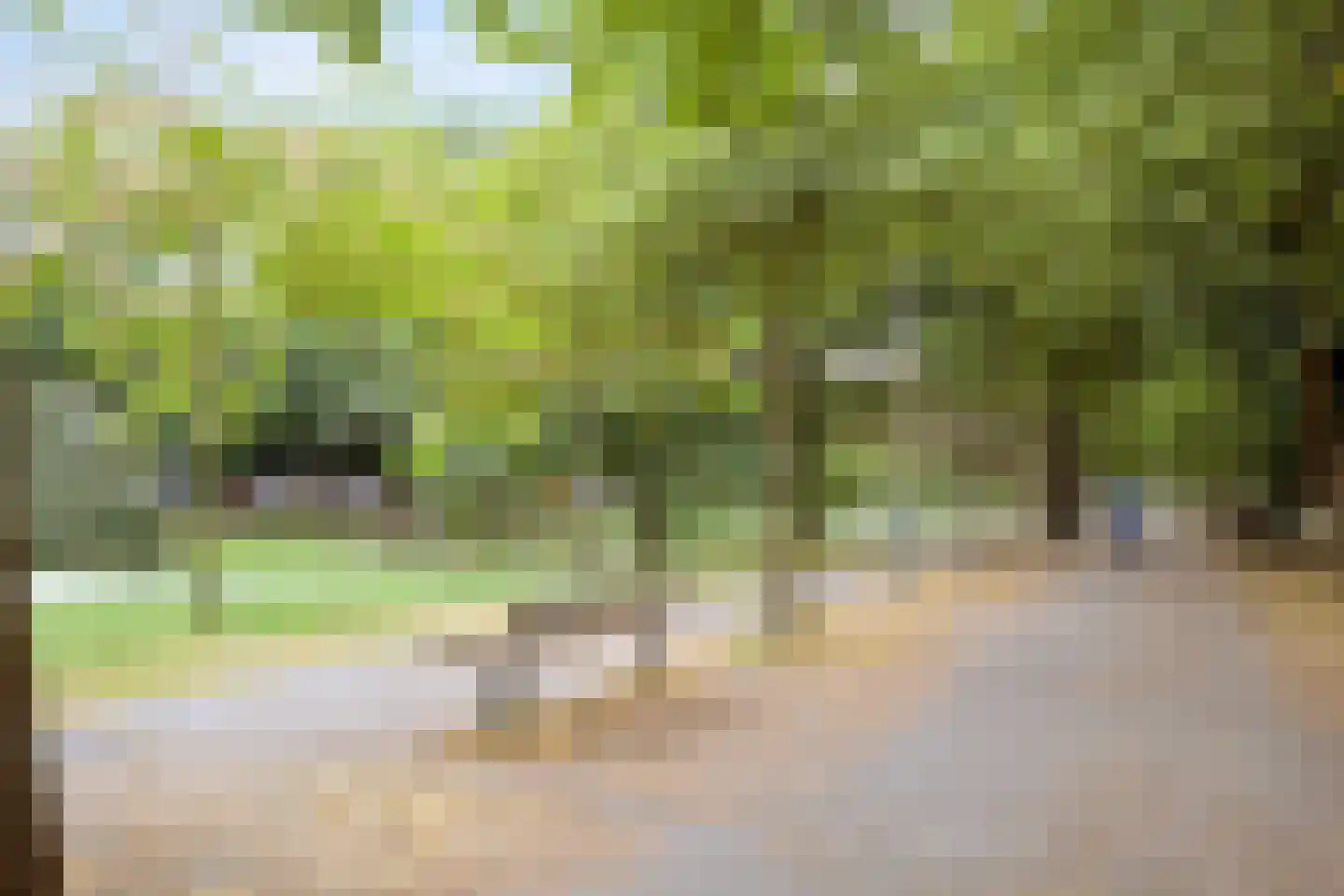 Heemraadssingel 184 L Rotterdam thumbnail 36