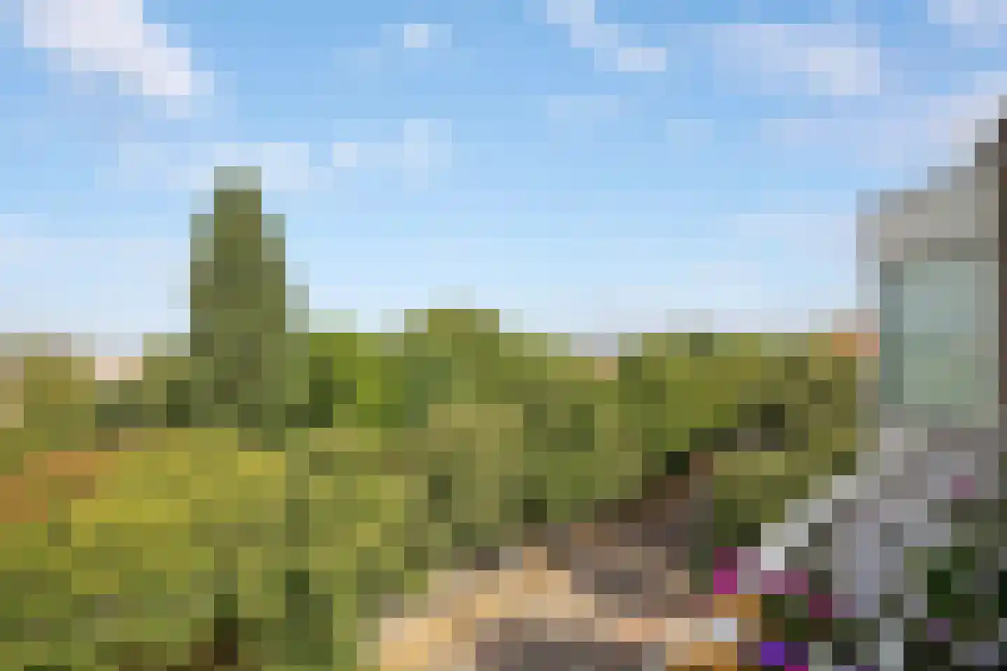 Heemraadssingel 184 L Rotterdam thumbnail 4
