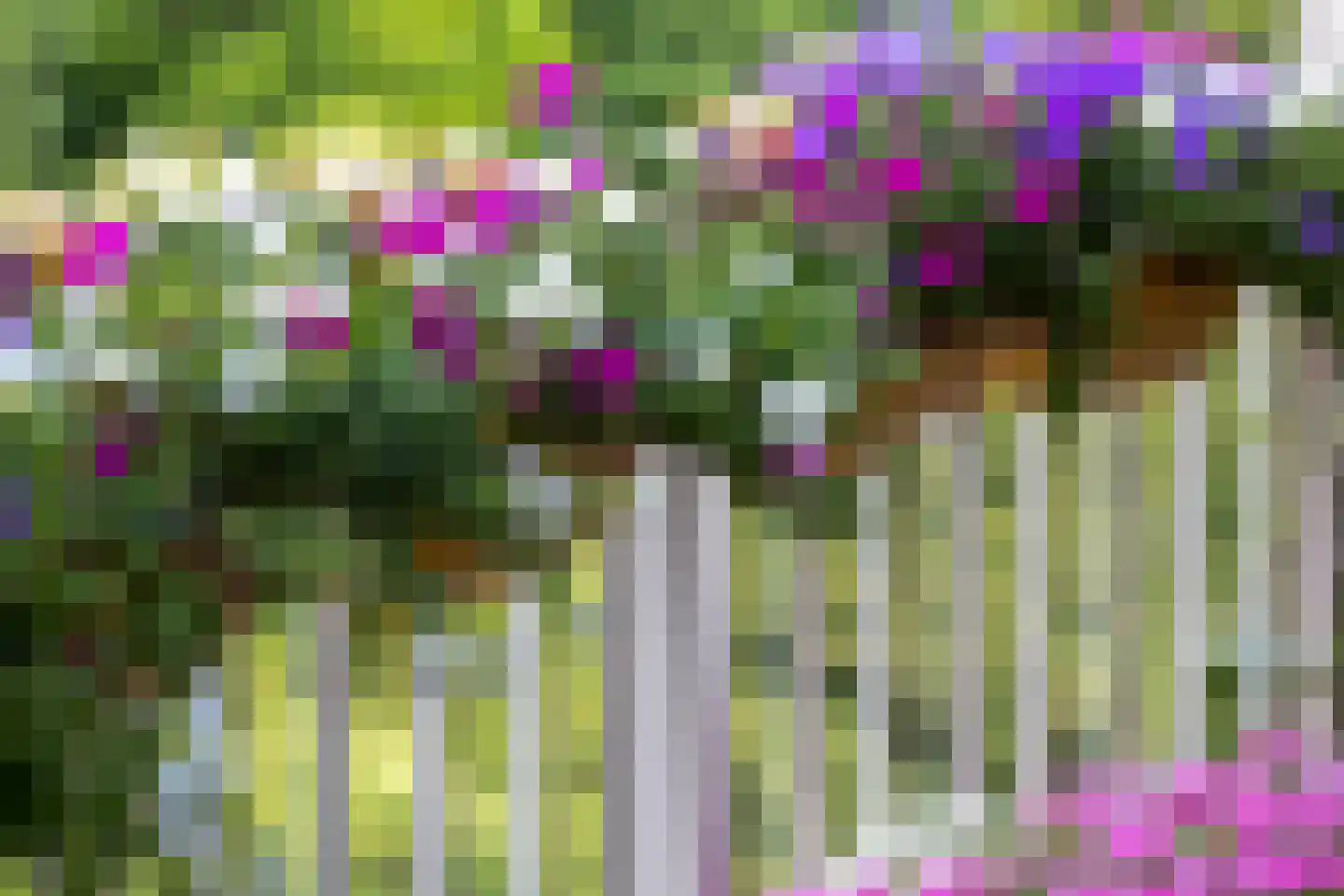Heemraadssingel 184 L Rotterdam thumbnail 8