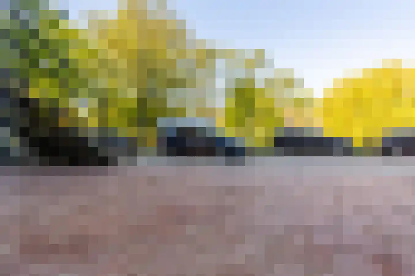 Heemraadssingel 186 D Rotterdam thumbnail 10