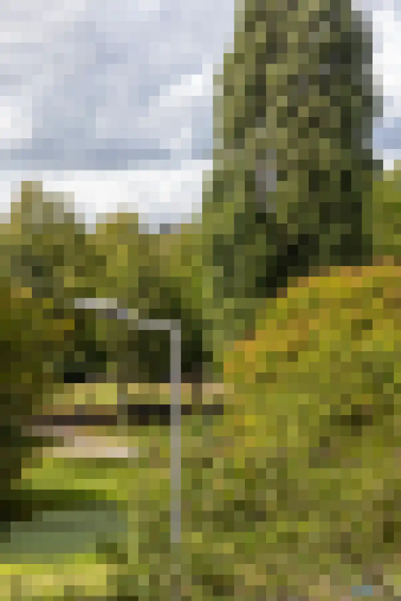 Heemraadssingel 194 B Rotterdam thumbnail 19