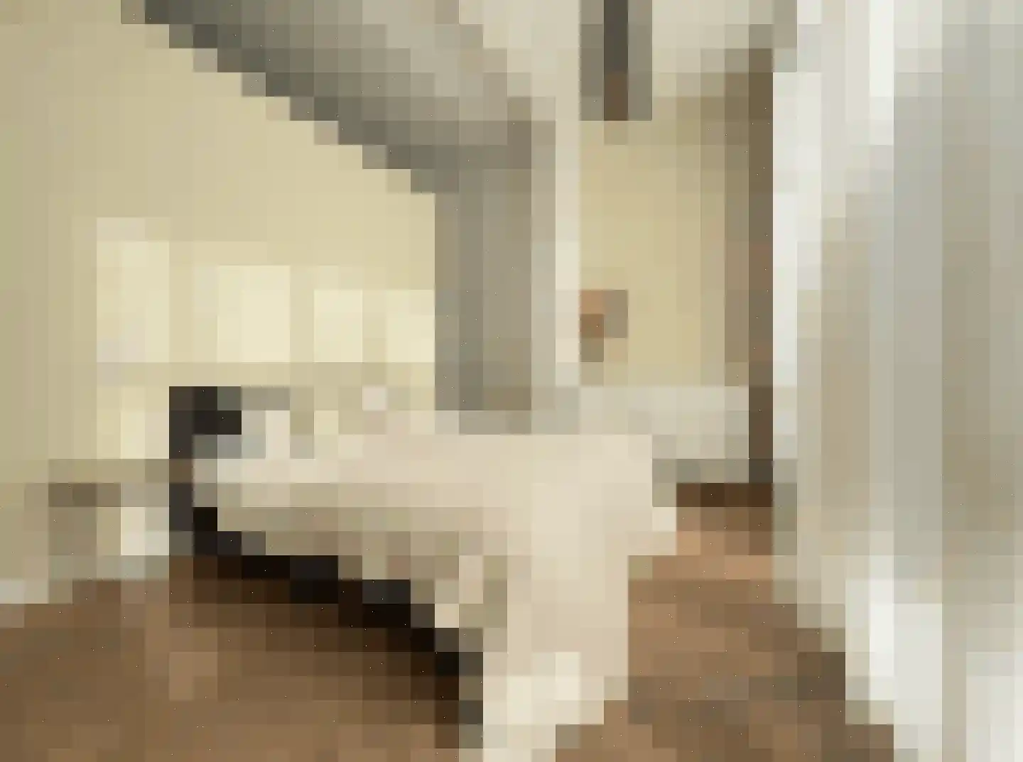 Heemraadssingel 194 B Rotterdam thumbnail 28