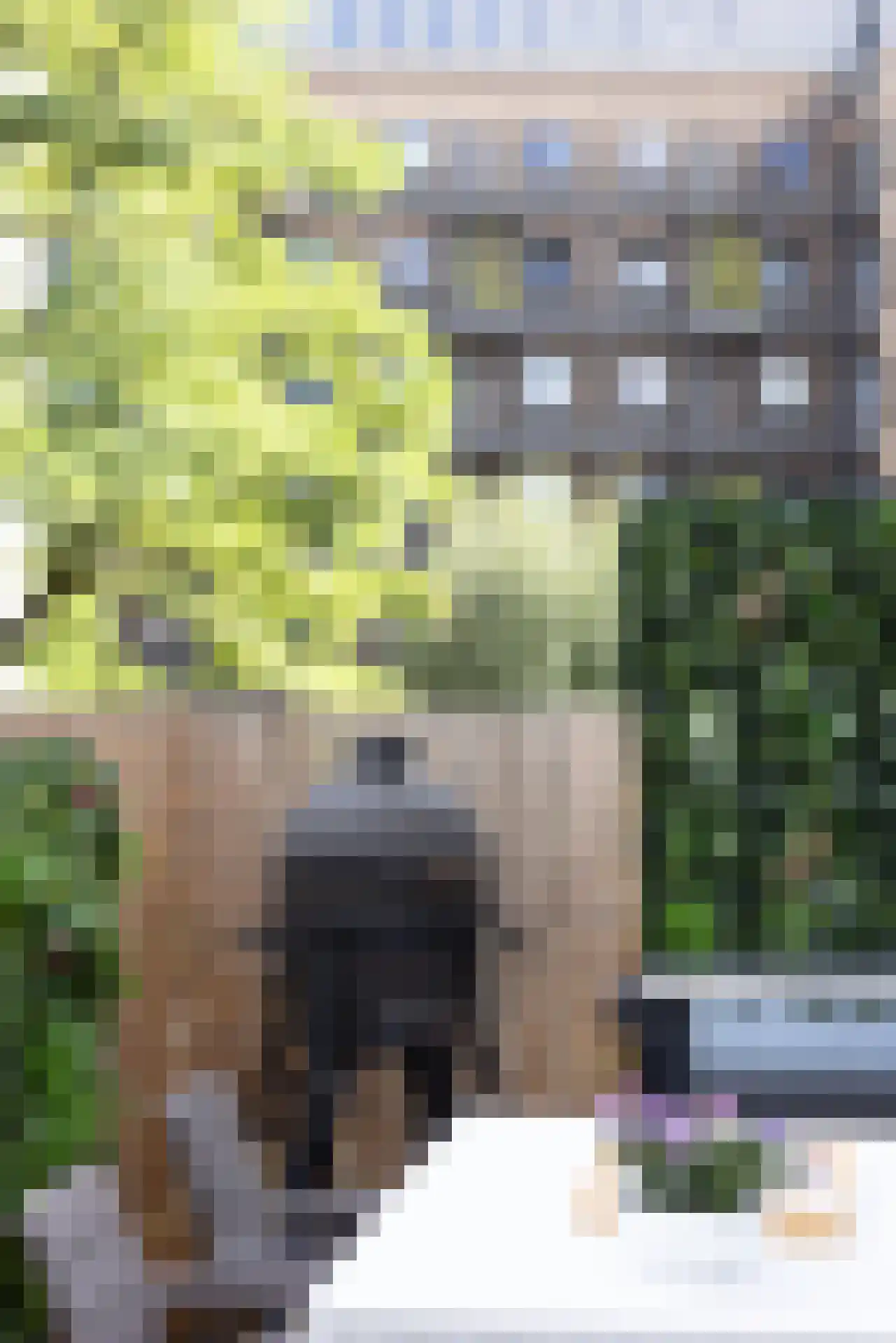 Heemraadssingel 194 B Rotterdam thumbnail 36