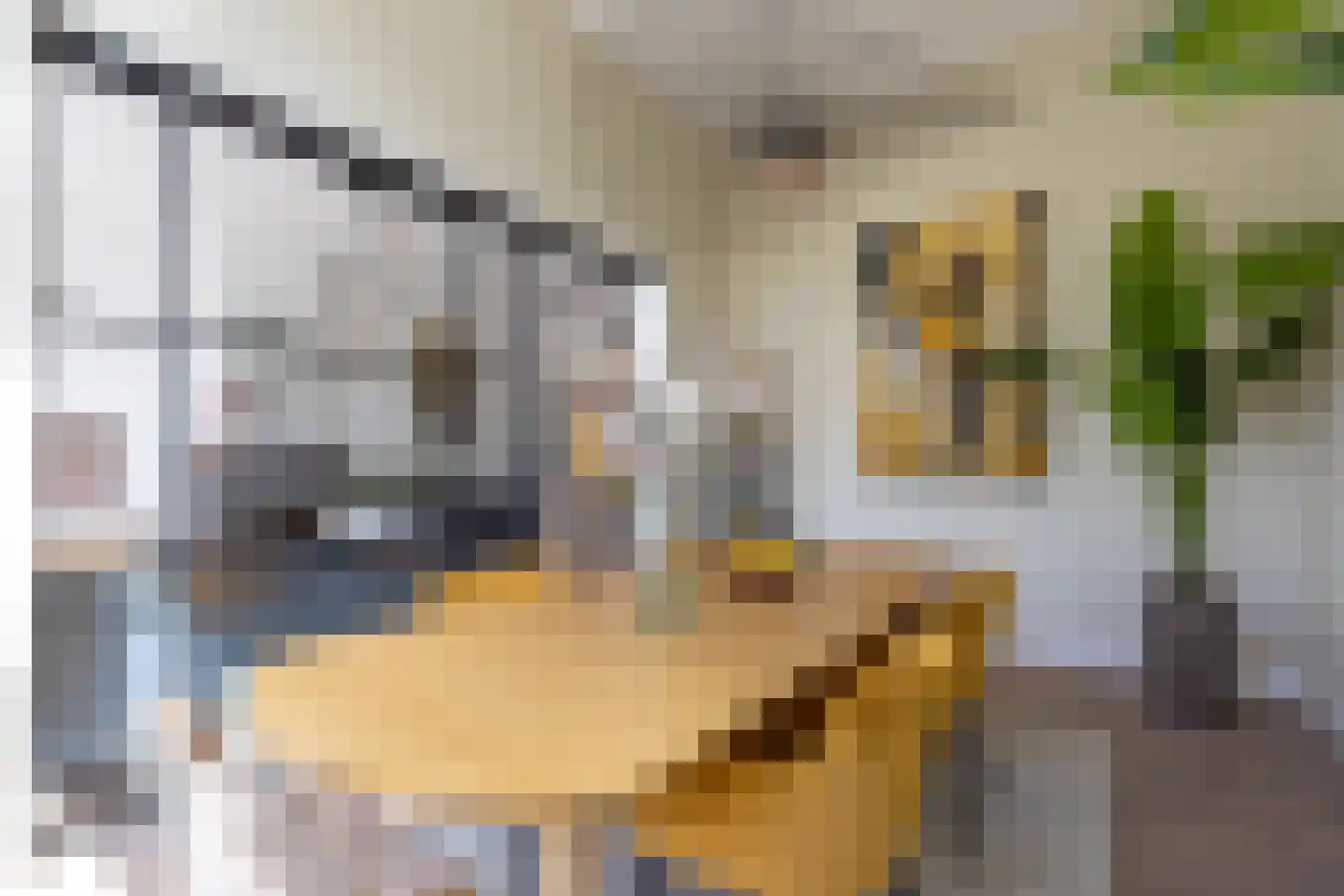 Heemraadssingel 194 B Rotterdam thumbnail 4