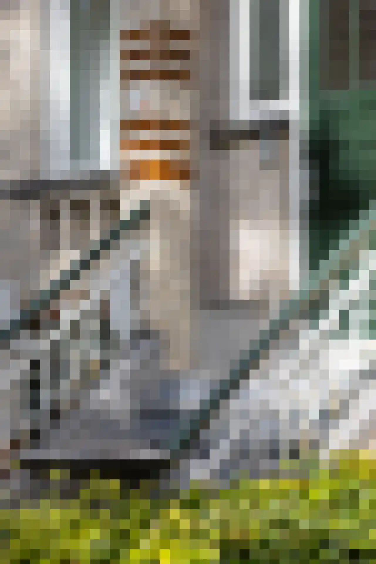 Heemraadssingel 194 B Rotterdam thumbnail 43