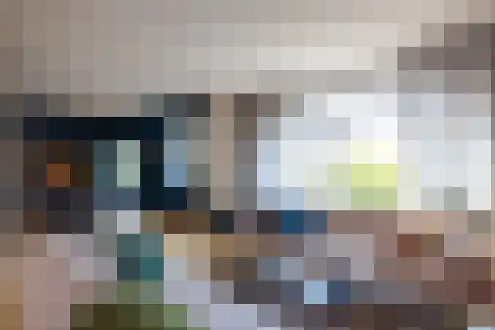 Heemraadssingel 196 B Rotterdam thumbnail 17