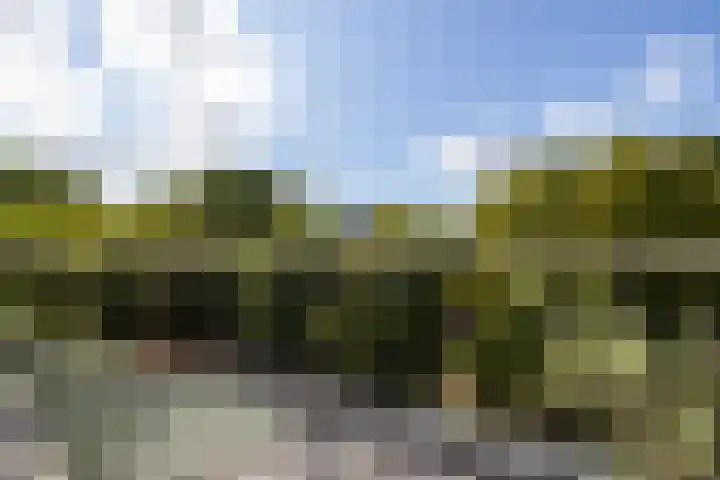 Heemraadssingel 196 B Rotterdam thumbnail 18