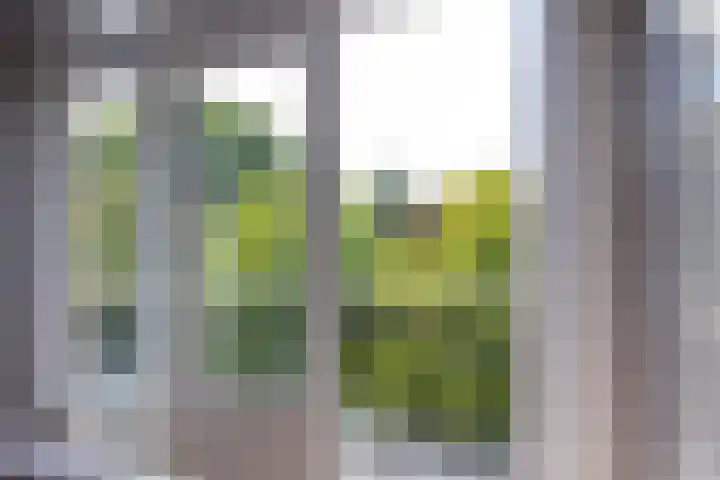 Heemraadssingel 196 B Rotterdam thumbnail 20