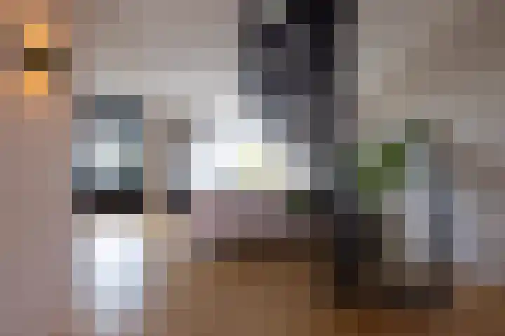 Heemraadssingel 196 B Rotterdam thumbnail 21