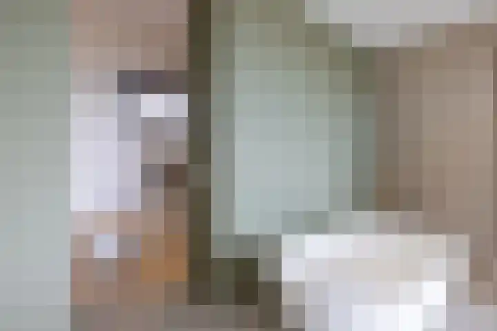 Heemraadssingel 196 B Rotterdam thumbnail 27