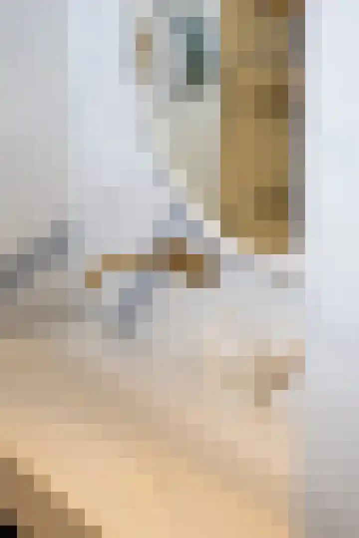 Heemraadssingel 196 B Rotterdam thumbnail 30