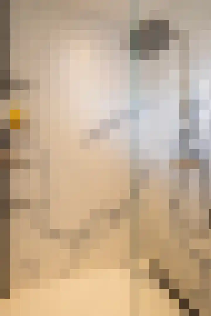 Heemraadssingel 196 B Rotterdam thumbnail 31