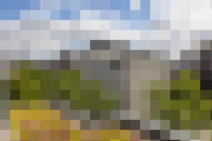Heemraadssingel 196 B Rotterdam thumbnail 33