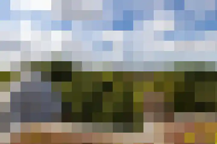 Heemraadssingel 196 B Rotterdam thumbnail 34