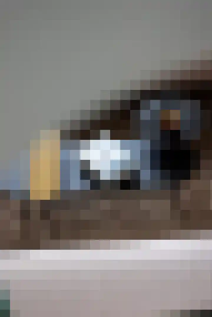 Heemraadssingel 196 B Rotterdam thumbnail 39