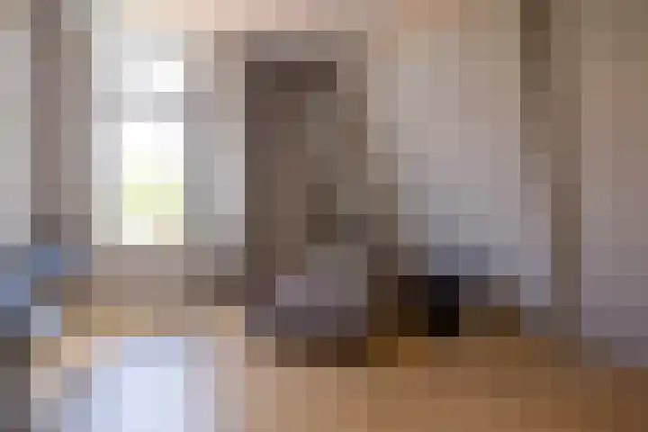 Heemraadssingel 196 B Rotterdam thumbnail 43