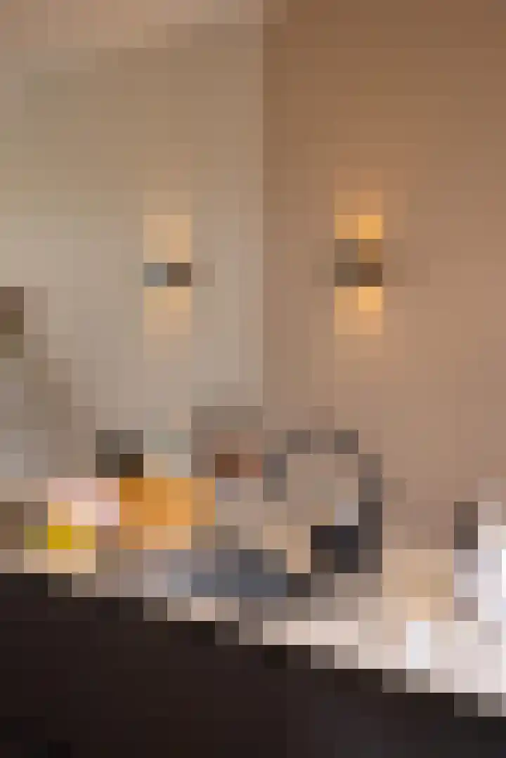 Heemraadssingel 196 B Rotterdam thumbnail 50