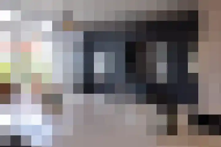 Heemraadssingel 196 B Rotterdam thumbnail 52