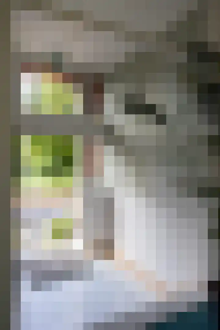 Heemraadssingel 196 B Rotterdam thumbnail 64