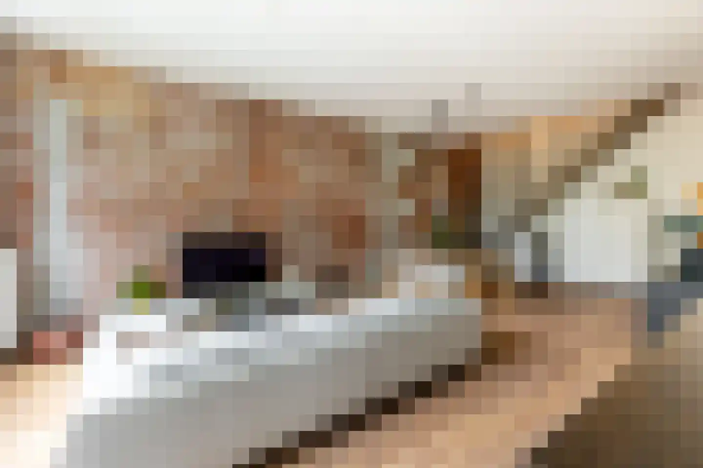Heemraadssingel 208 D Rotterdam thumbnail 13