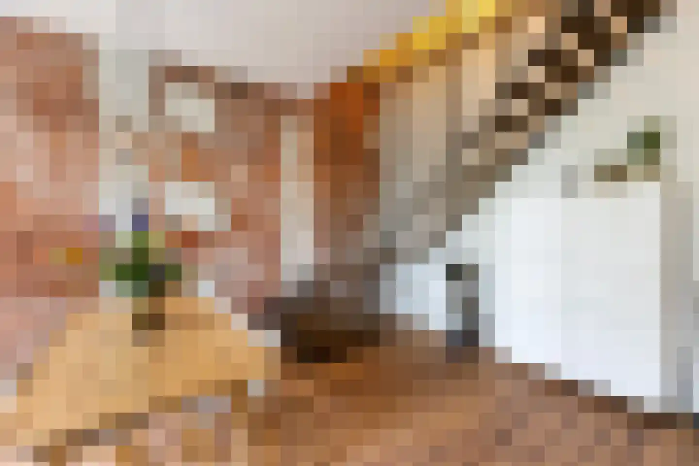 Heemraadssingel 208 D Rotterdam thumbnail 14