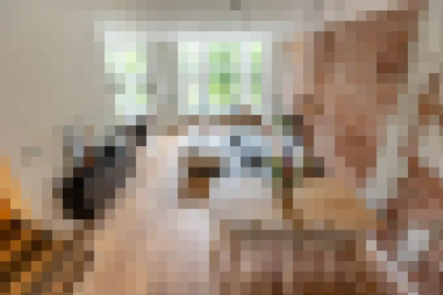 Heemraadssingel 208 D Rotterdam thumbnail 15