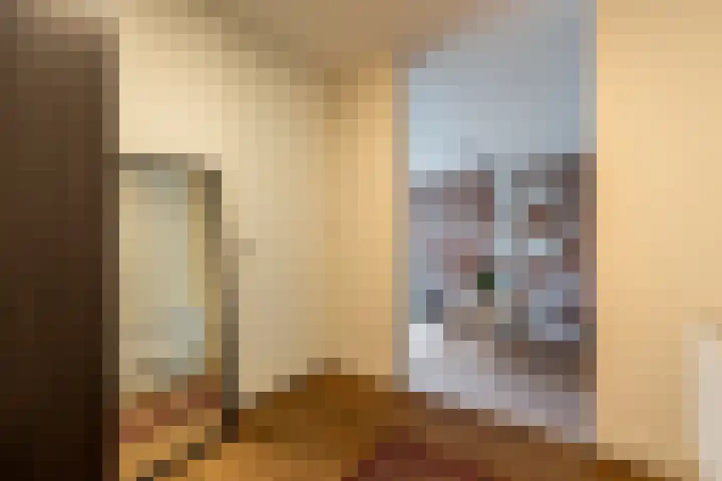 Heemraadssingel 208 D Rotterdam thumbnail 28
