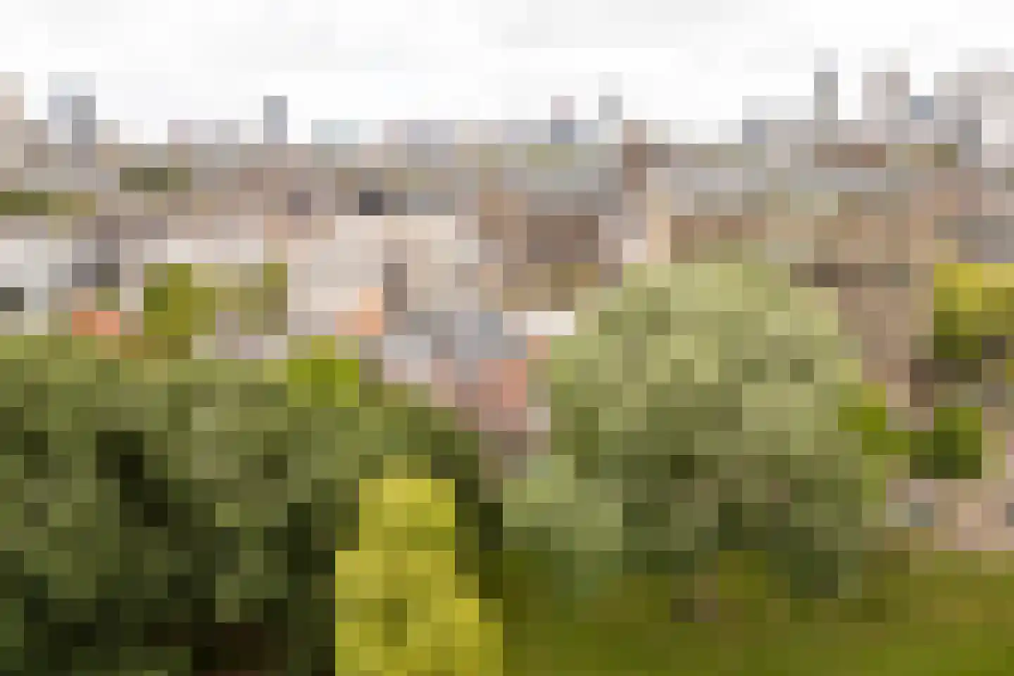 Heemraadssingel 208 D Rotterdam thumbnail 32