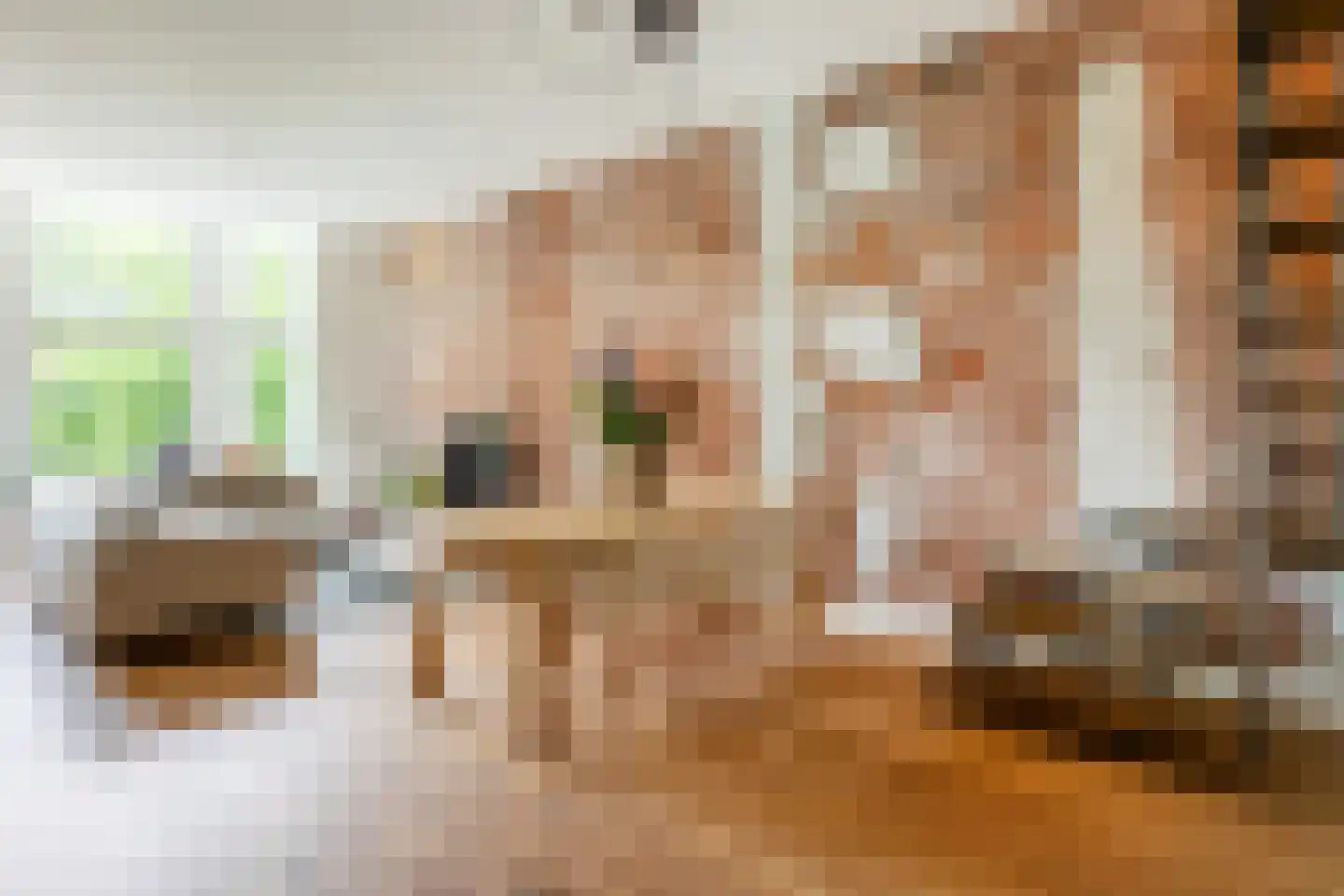 Heemraadssingel 208 D Rotterdam thumbnail 6