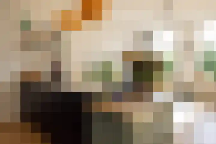 Heemraadssingel 209 B 03 Rotterdam thumbnail 10