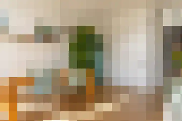 Heemraadssingel 209 B 03 Rotterdam thumbnail 19