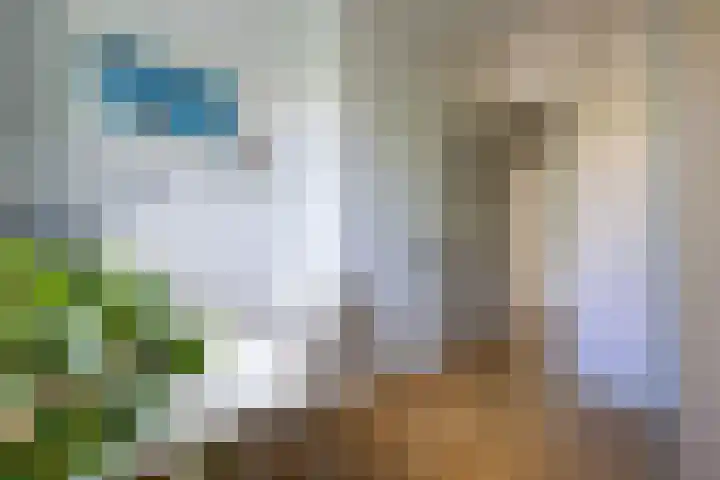 Heemraadssingel 209 B 03 Rotterdam thumbnail 23