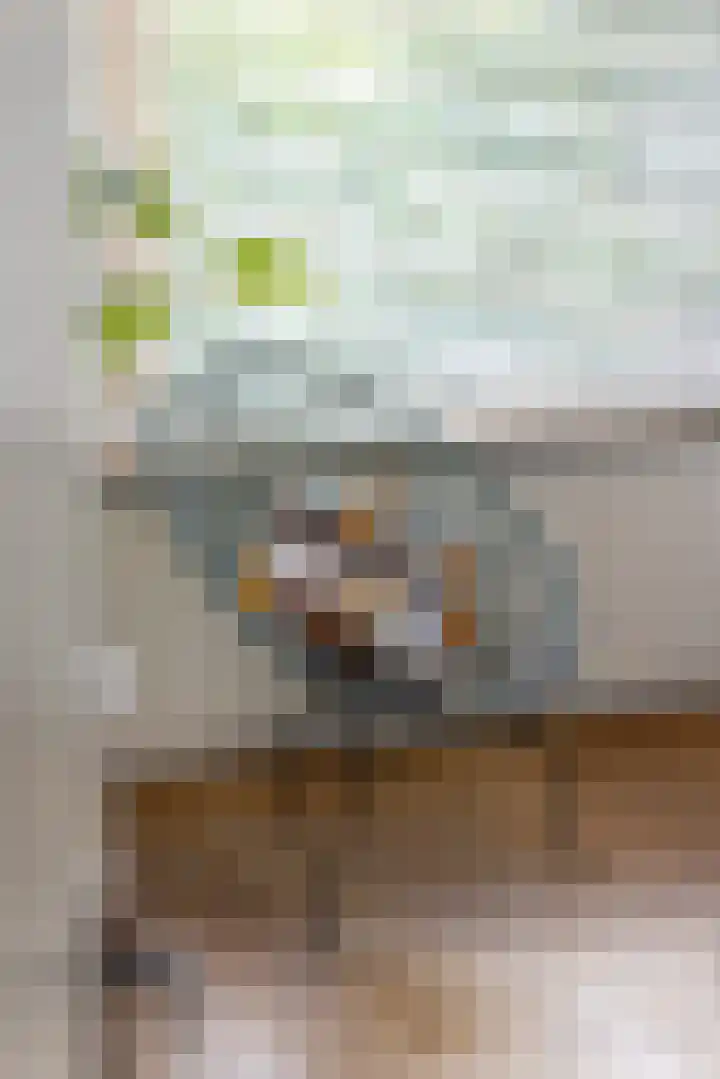 Heemraadssingel 209 B 03 Rotterdam thumbnail 24