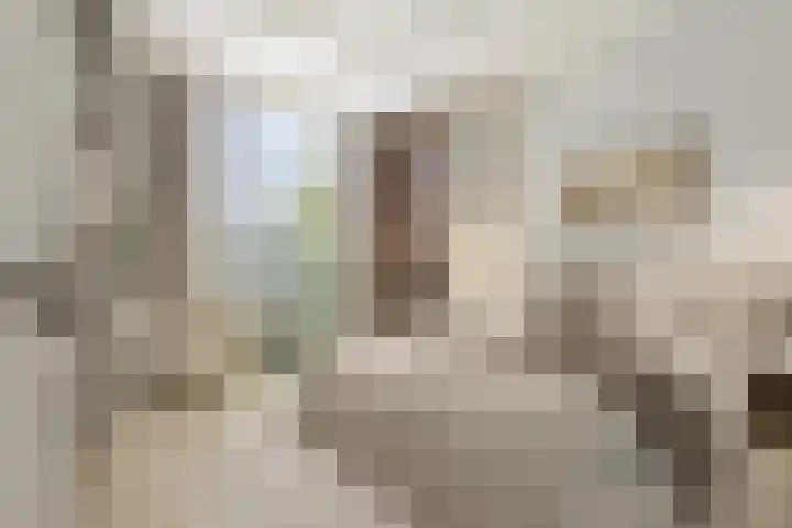 Heemraadssingel 209 B 03 Rotterdam thumbnail 25