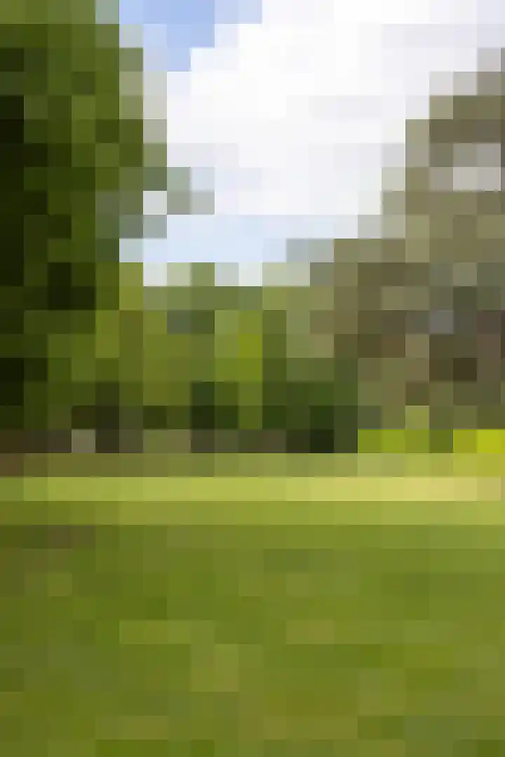 Heemraadssingel 209 B 03 Rotterdam thumbnail 32